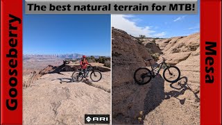 World's Best Natural Terrain for MTB? |...