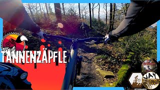 Tannenzäpfle Trail - Königstuhl //...