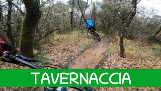 MTB Roveta 22.02.2025 sentiero TAVERNACCIA