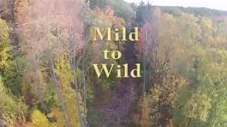 Lenny Rd Trails