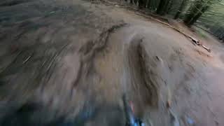 Repeat Offender- The Golfie Innerleithen-