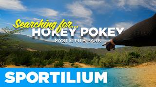 Searching for Hokey Pokey – Lost & Found...
