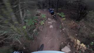 Sintra KAMIKAZE até à estrada BTT MTB