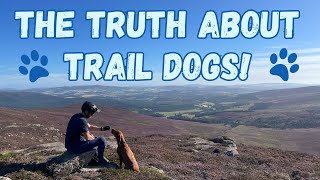 Trail Dog Life: Is It Worth It? The Pros &...