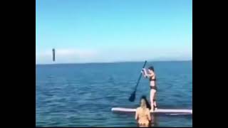 A dog doing dog things
