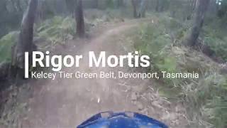 Rigor Mortis