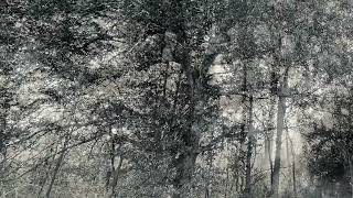 CAN’T GET AWAY’ NEW ORIGINAL SONG 