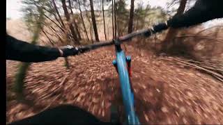 Roller Coaster trail Bike park Evolution