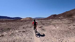 Dog Cholla MTB