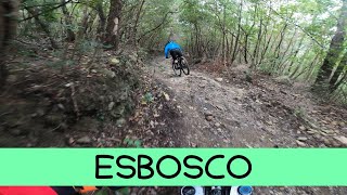MTB Livorno 01.03.2025 sentiero VIA DELL' ESBOSCO