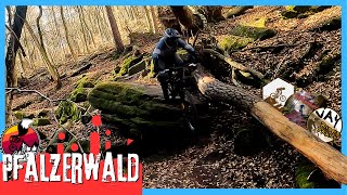 Drops, Gaps and Hitting Trees... Pfälzerwald...
