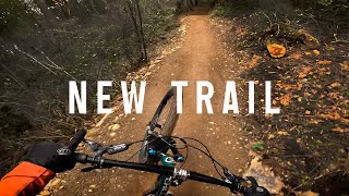 Flipside - Jordie Lunn Bike Park New Trail