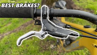 Hayes Dominion A4 1 Year Review - Best MTB...