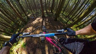 From GREEN to DOUBLE BLACK // BC Flow Trails