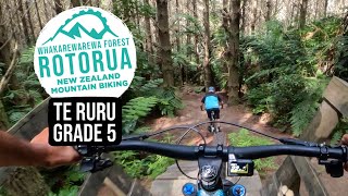 Fresh Turns, Ruts, and Tech | Te Ruru Trail,...