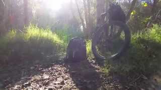 Bikepacking Stepping Stones Between Overnights...