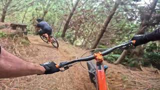 Whaki Link @ Whakarewarewa Forest. Rotorua