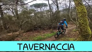 MTB Roveta 22.02.2025 sentiero Tavernaccia