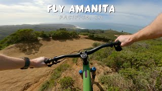 Fly Amanita / Pacifica, CA / MTB