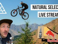 Natural Selection Live Stream