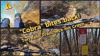 Cobra bites back!  - Torreano Trailcheck mit...