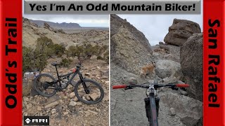 An odd mountain biker on Odd's dirt bike...