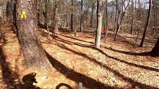 Root Line, Lake Crabtree | Raleigh, NC