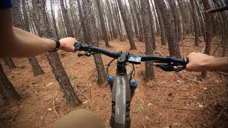 New Trail at Bauxite Ridge | BOX TURTLE |...