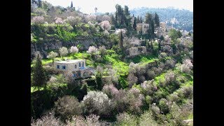 JERUSALEM TRAIL | MTB | TECHNICAL | ISRAEL |...