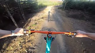 MTB South Of The Border - Hamsterley Forest