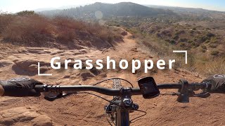Grasshopper (Santiago Oaks)