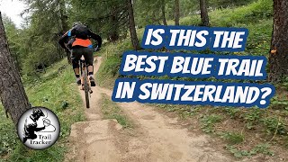 Forrest Bump - Bikepark Bellwald