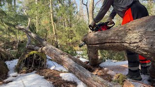 Hike - Trail Maintenance on Eagleton Mine Camp...