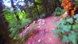 Centennial Trail Aug 8 2016 Sumas Mt...