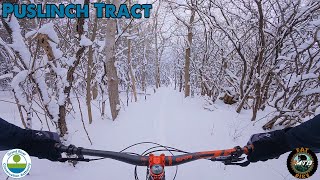 Fat Biking Puslinch Tract