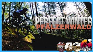 The PFÄLZERWALD always Delivers!! // Santa...