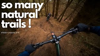 Pitmedden Has Some Of The Most Fun Natural...