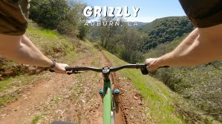 Grizzly / Auburn, CA / MTB