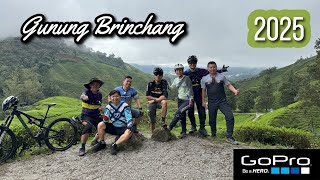 踩上金馬倫高原：穿越雲霧同茶園...
