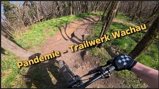 Pandemie - Trailarea Göttweig by Trailwerk Wachau