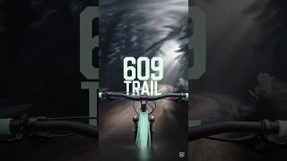 I Conquered Black Trail 609 on My MTB and You...