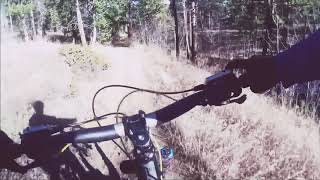 Fast MTB Lower Dadd Gulch