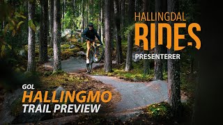 Trail preview - Hallingmo, Gol, Hallingdal