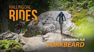 Trail preview - Forkbeard, Høgevarde, Hallingdal