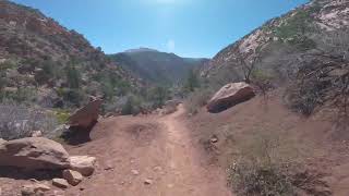 Red Hollow trail (downhill).