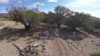 YES Please trail. Downhill MTB.