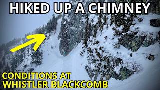 Is Amazing Going To Be Ruined? Whistler...