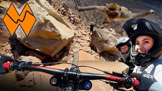 Pro Tech Trail Flying Monkey - How Many...