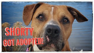 SHORTY GOT ADOPTED!!
