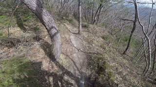 Vertigo, Quarto